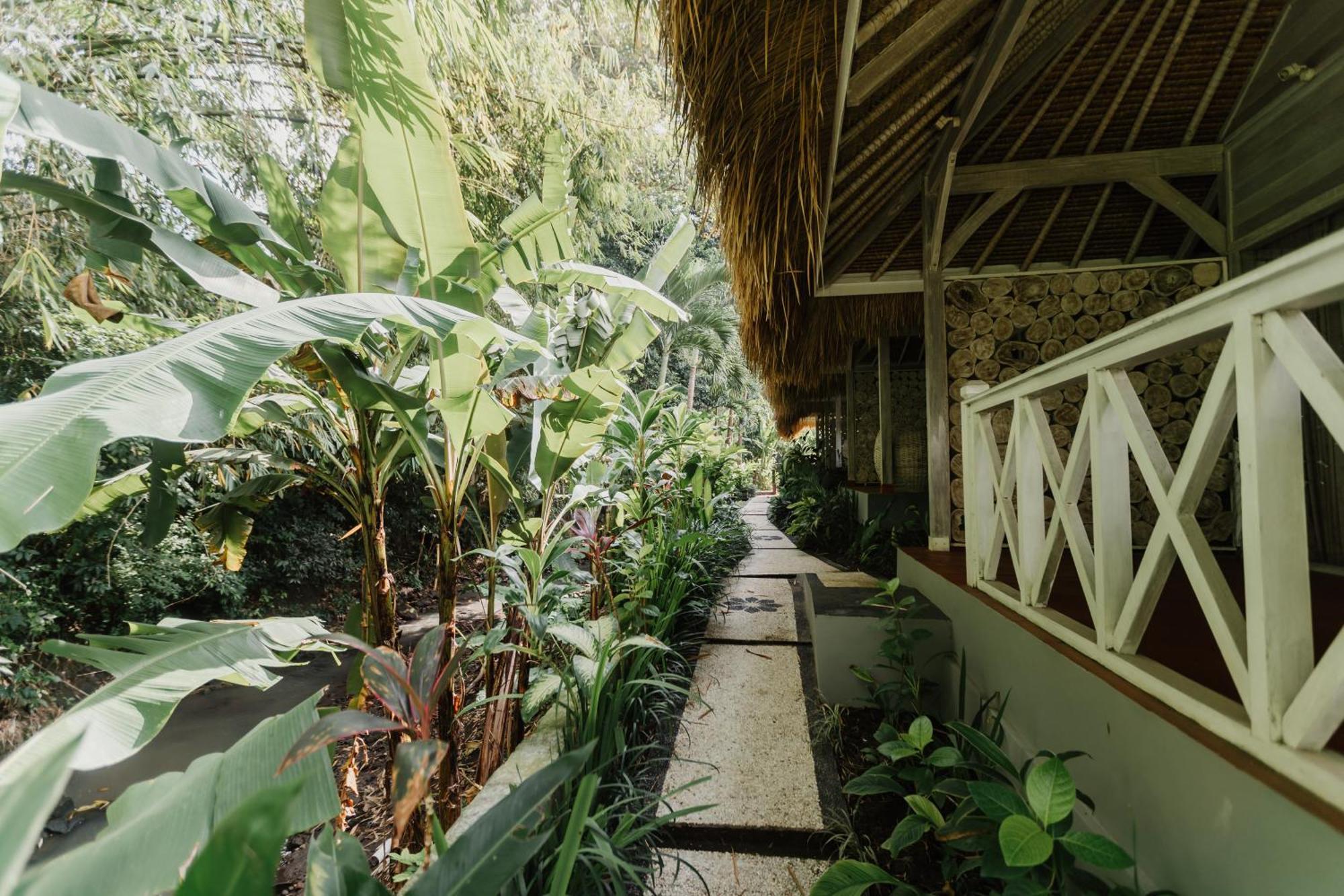 Maylie Bali Villa & Bungalows Canggu  Exterior photo